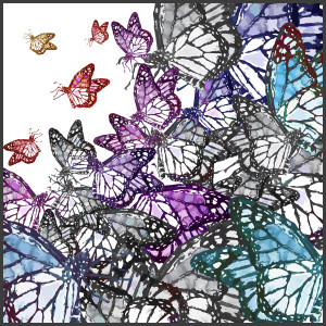 self_found_1-copyborder